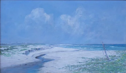 Der Strand bei Kamehama Nui